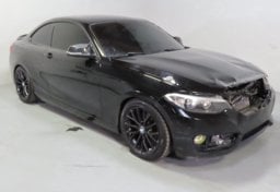 2016 BMW 2 Series Sport - Thumbnail 2