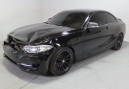 2016 BMW 2 Series Sport - Thumbnail 1