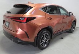 2025 Lexus NX 250 - Thumbnail 6