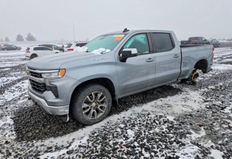 Picture of 2023 Chevrolet Silverado 1500