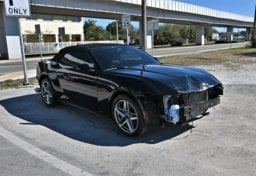 Picture of 2024 Ford Mustang