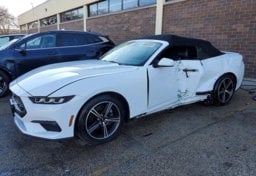 Picture of 2024 Ford Mustang