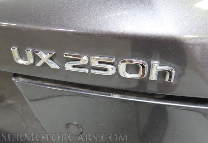 2023 Lexus UX 250h - Image 14