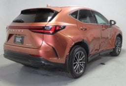 2025 Lexus NX 250 - Image 8
