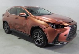 2025 Lexus NX 250 - Image 4