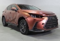 2025 Lexus NX 250 - Image 3