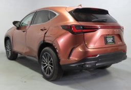 2025 Lexus NX 250 - Image 7